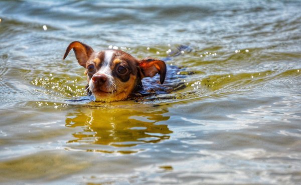 Quels sont les meilleurs conseils pour débuter dans la poterie artisanale ?
